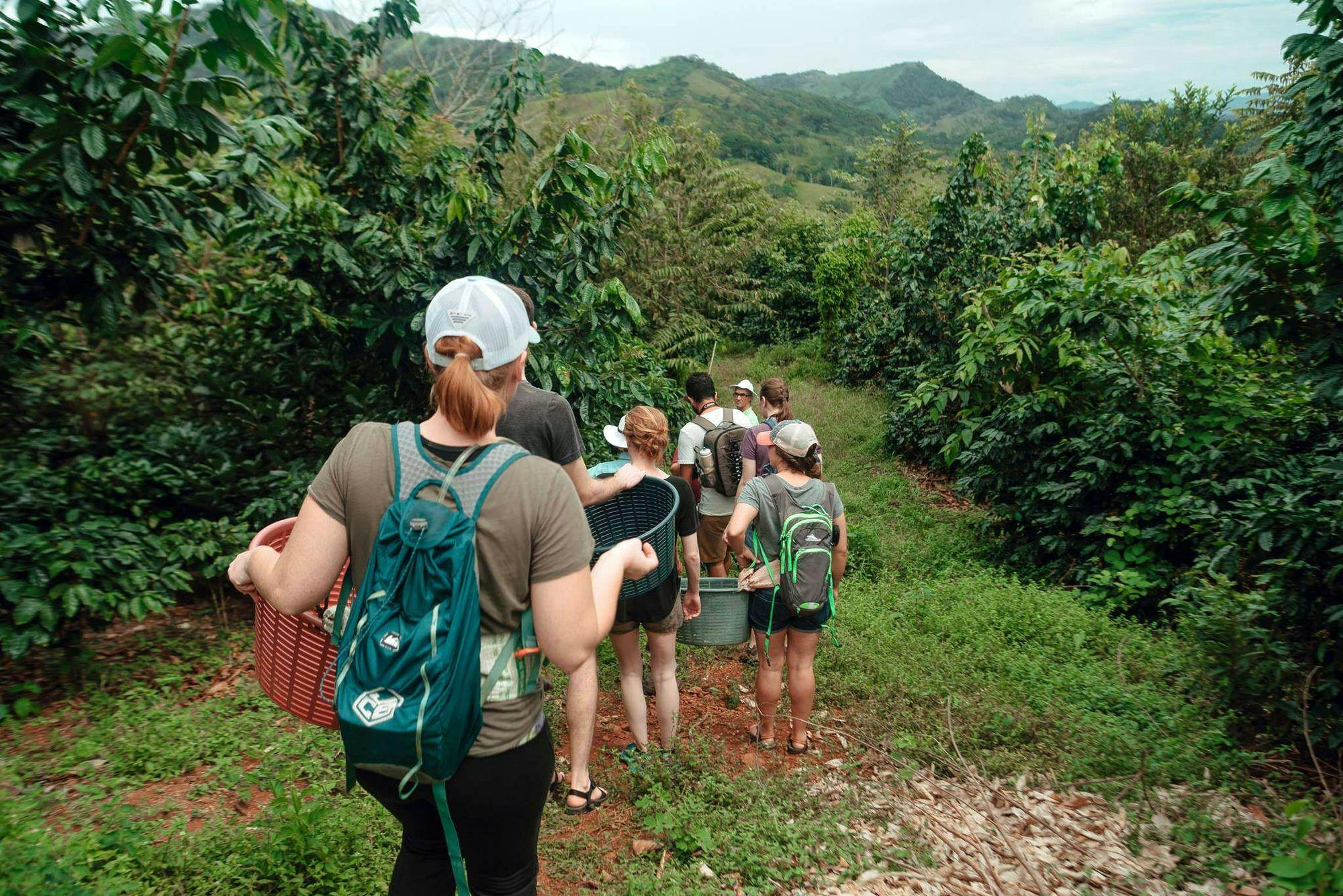 Costa Rica Coffee Exploration
