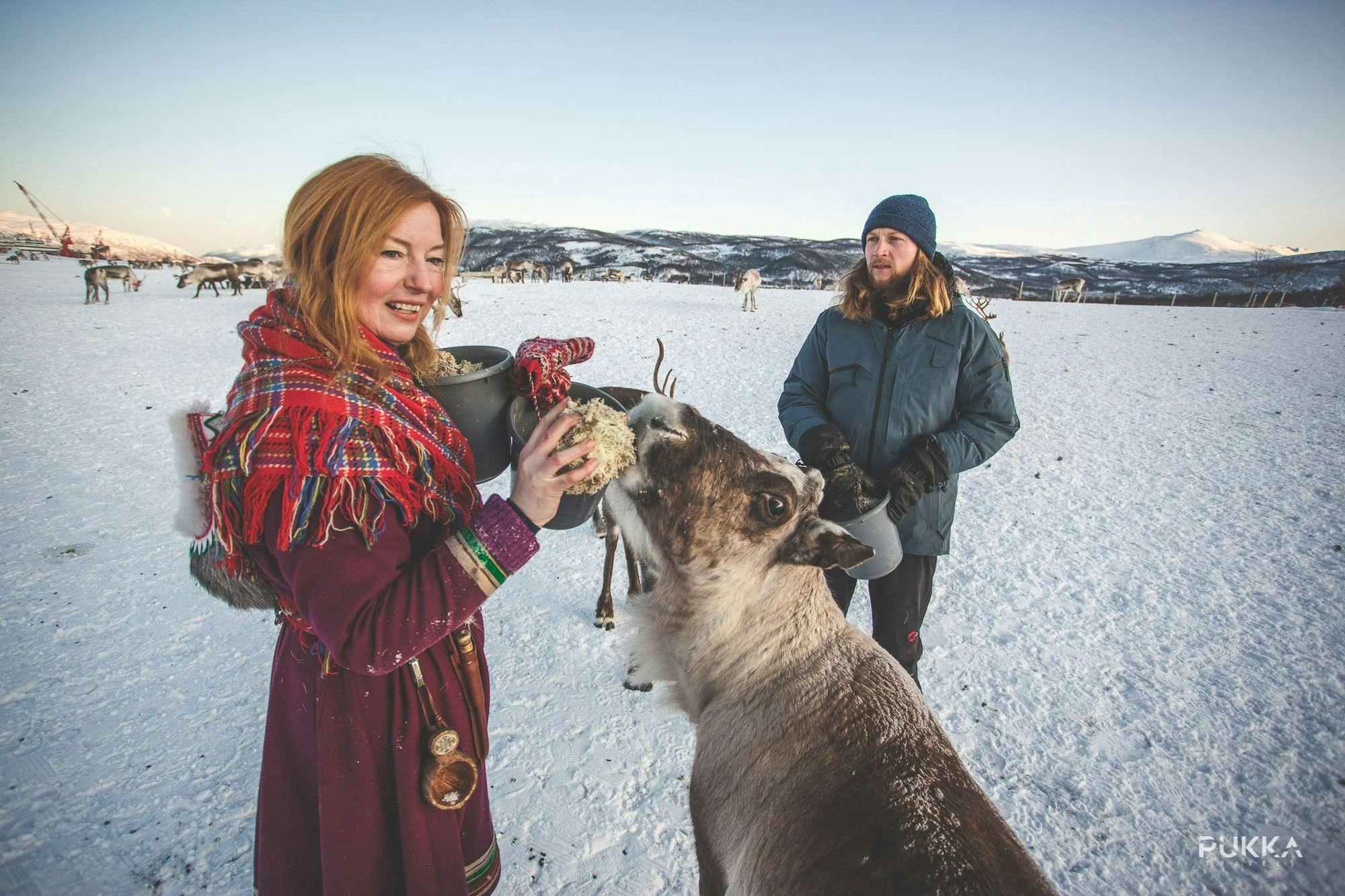 Reindeer Sledding & Sami Culture experience