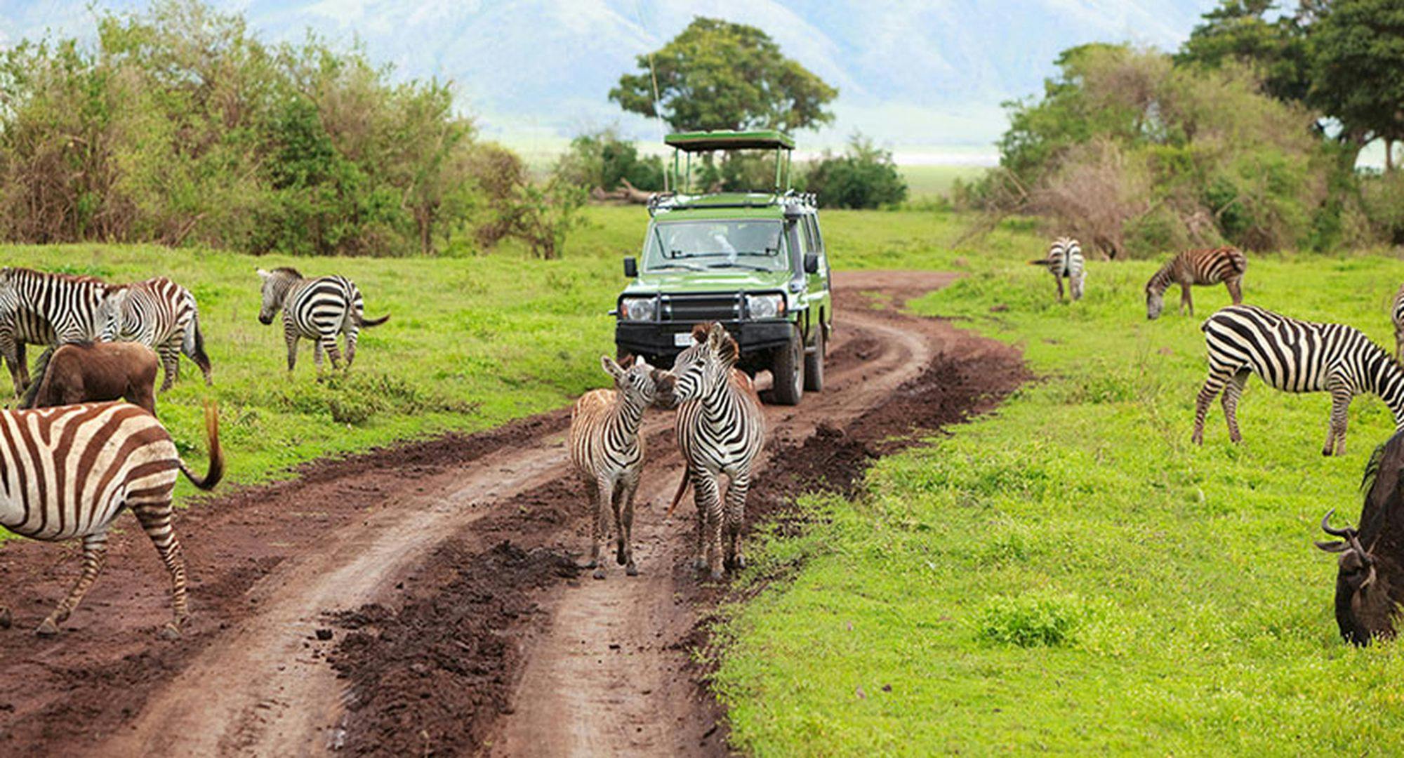 10 Day Tanzania Wildlife Safari and Zanzibar