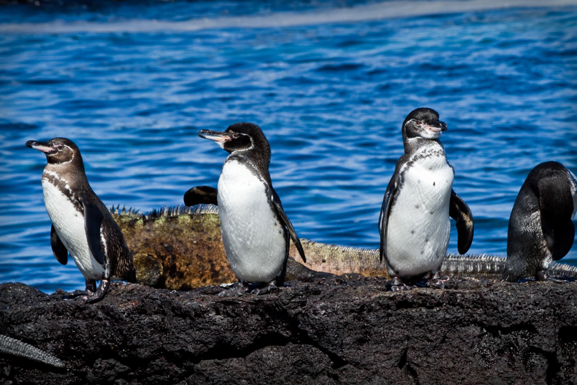 Galapagos Multisport Adventure