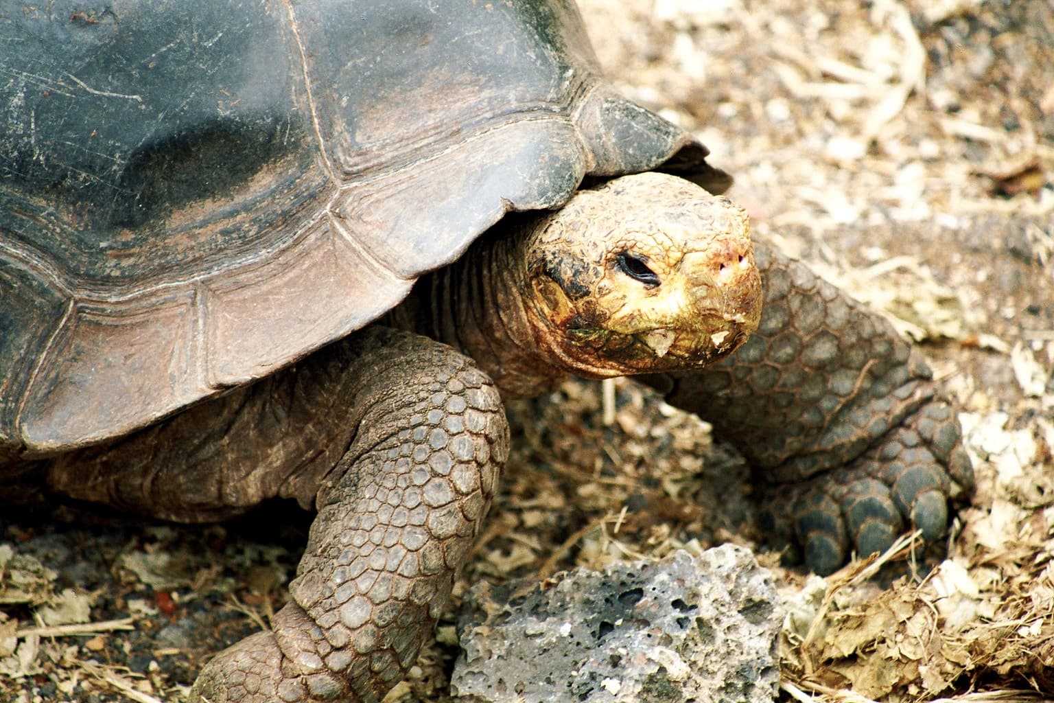 The Best of Galapagos Adventure