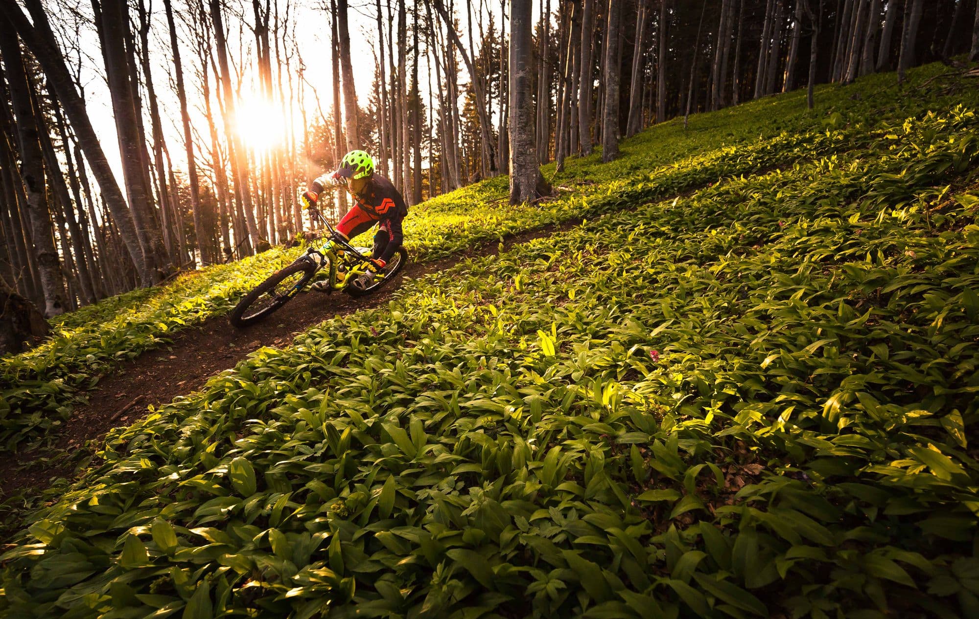 Discover Hidden Europe by E-Bike