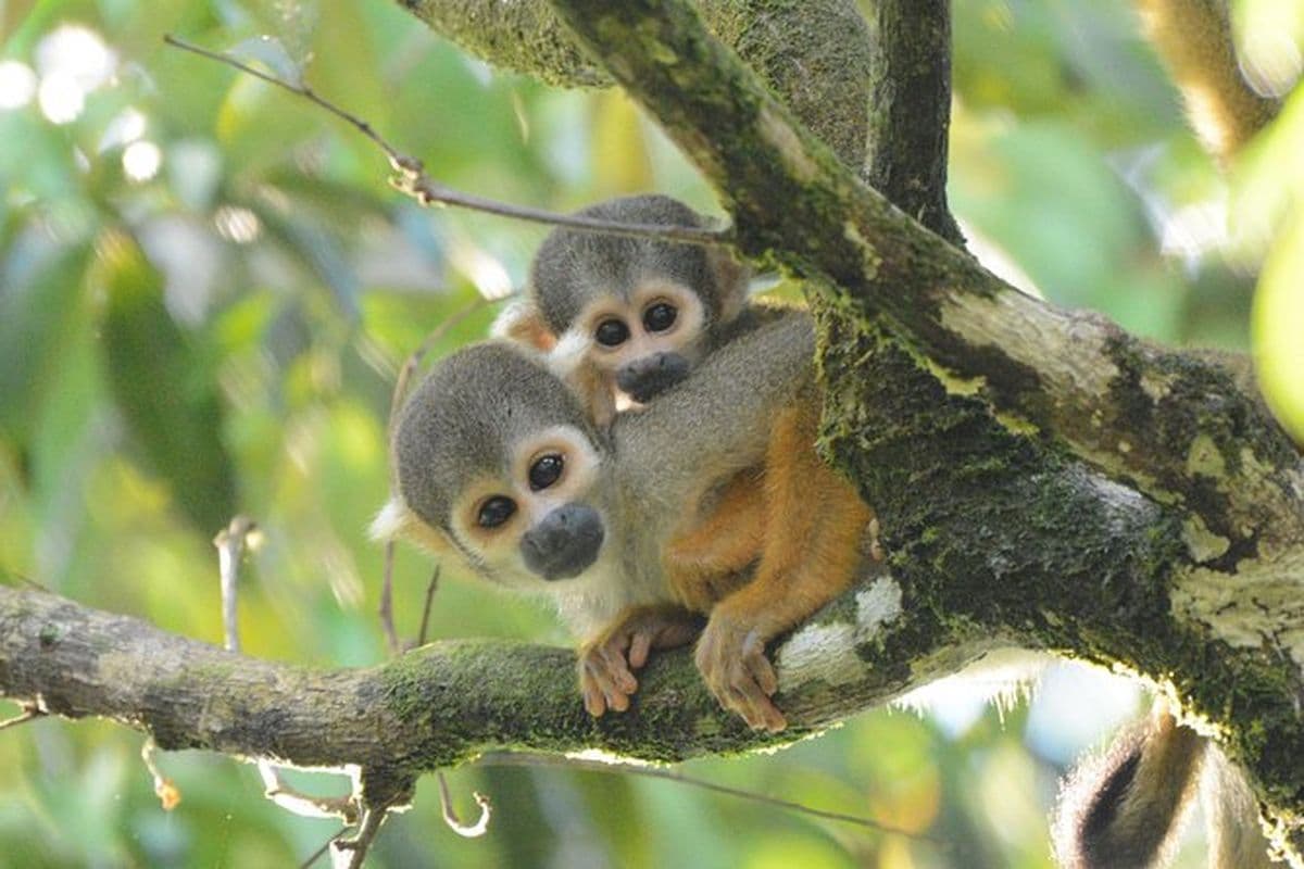 Peru Adventure: the Modern, the Iconic, and the Wild