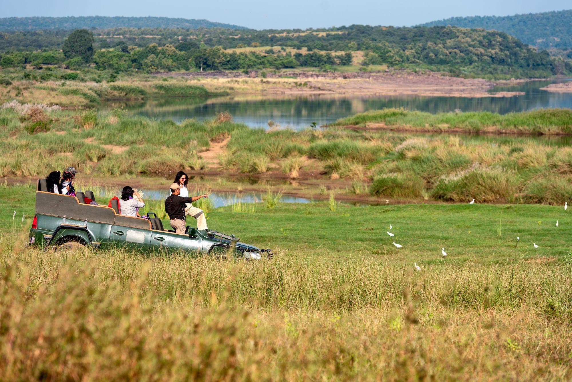India's Wild Heart Safari