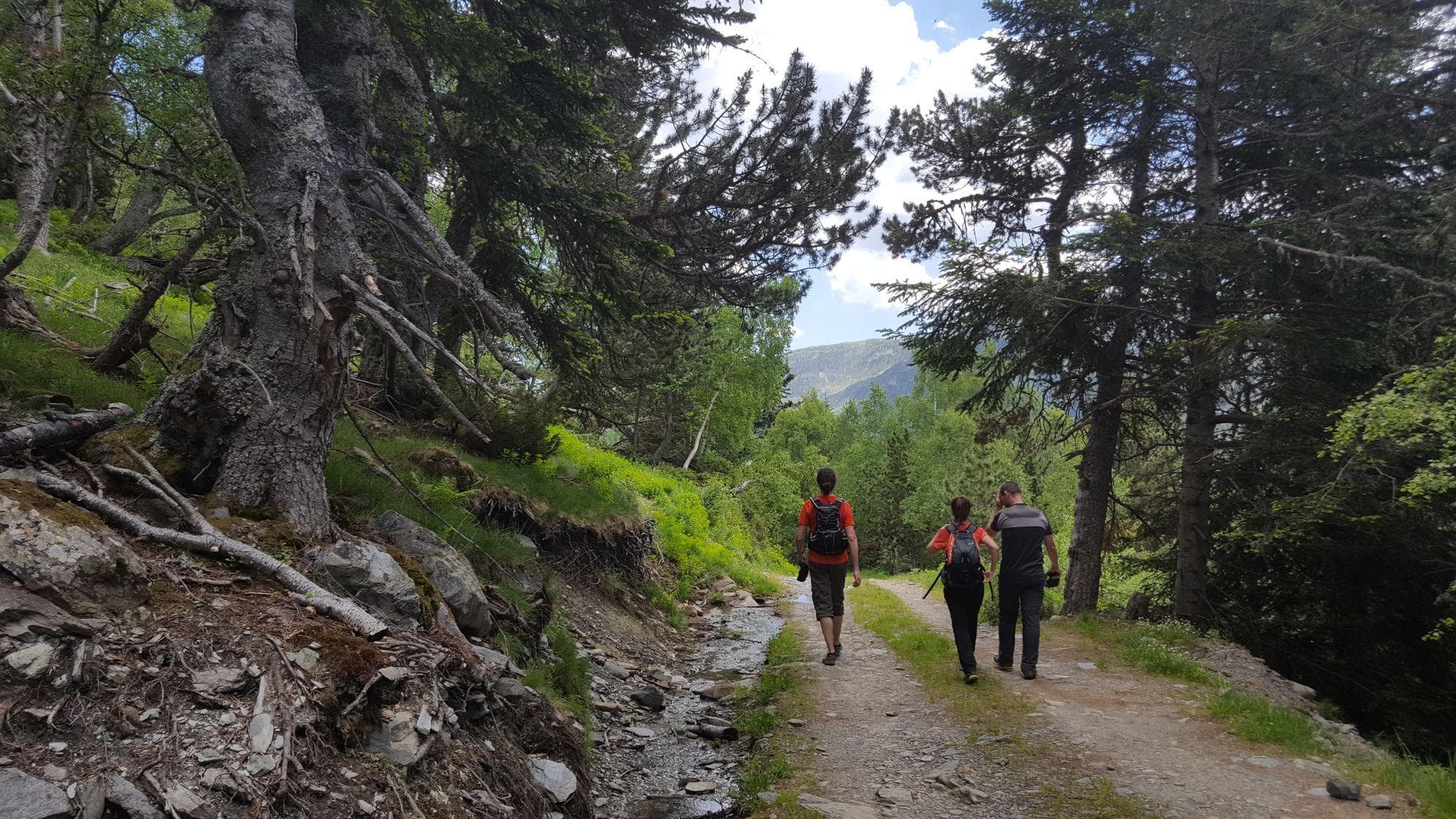 Explore the Wilderness of Northern Spain