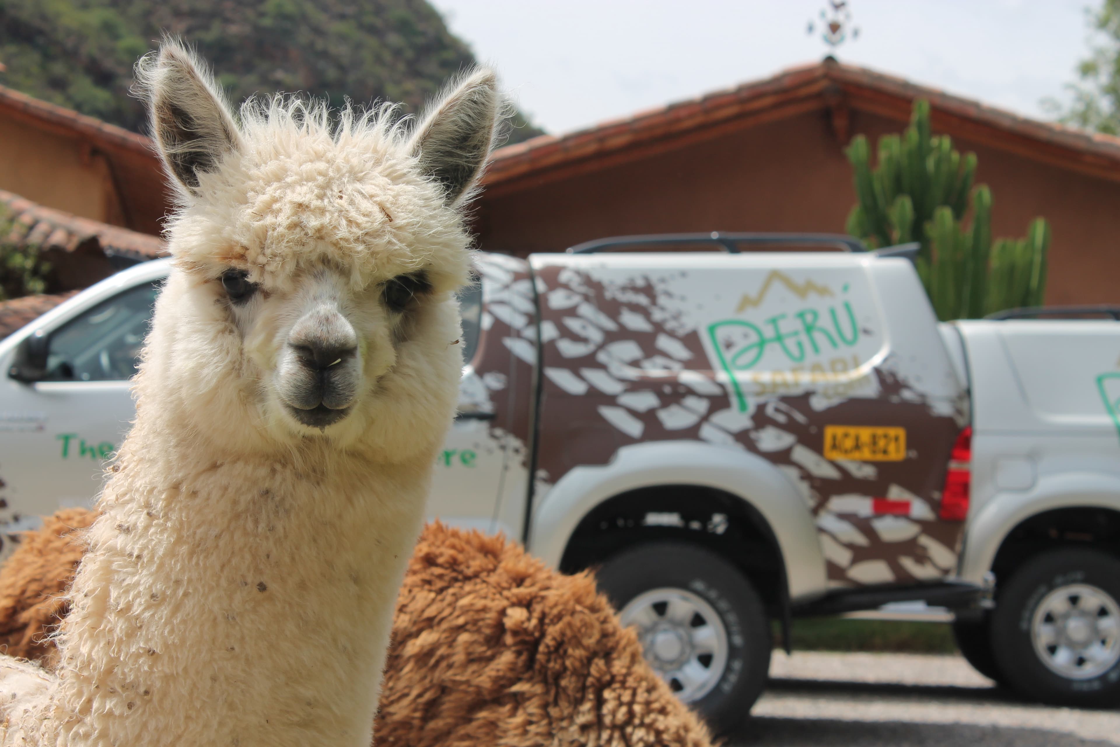 4x4 Overland Adventure in Peru