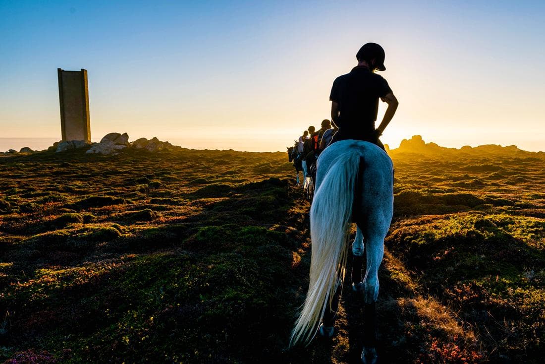Horse Riding Day Trip