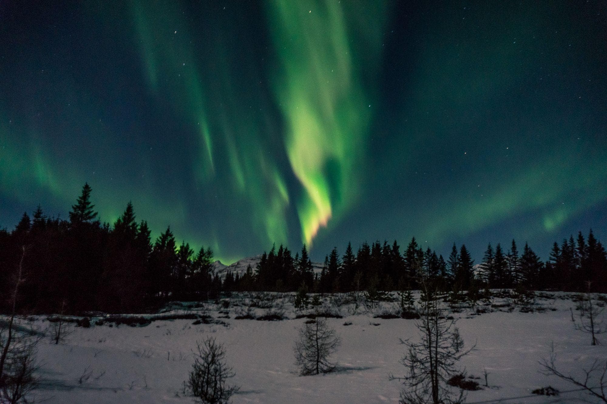 Northern Lights Trip in Iceland