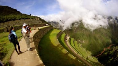 trip-img