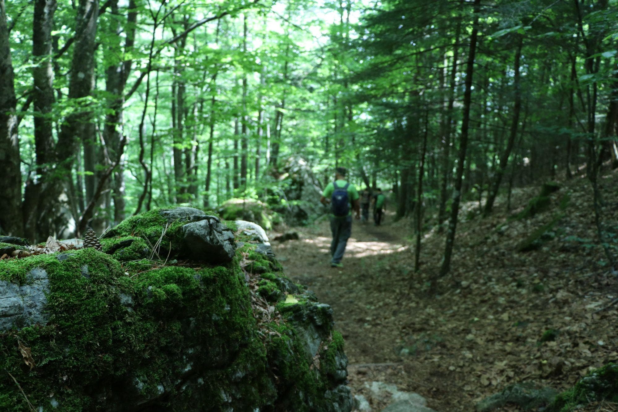 Hike Enipeas Gorge in Mt. Olympus