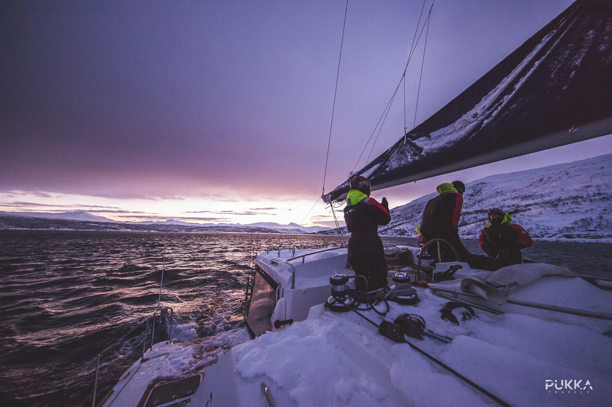 Arctic Sail Safari