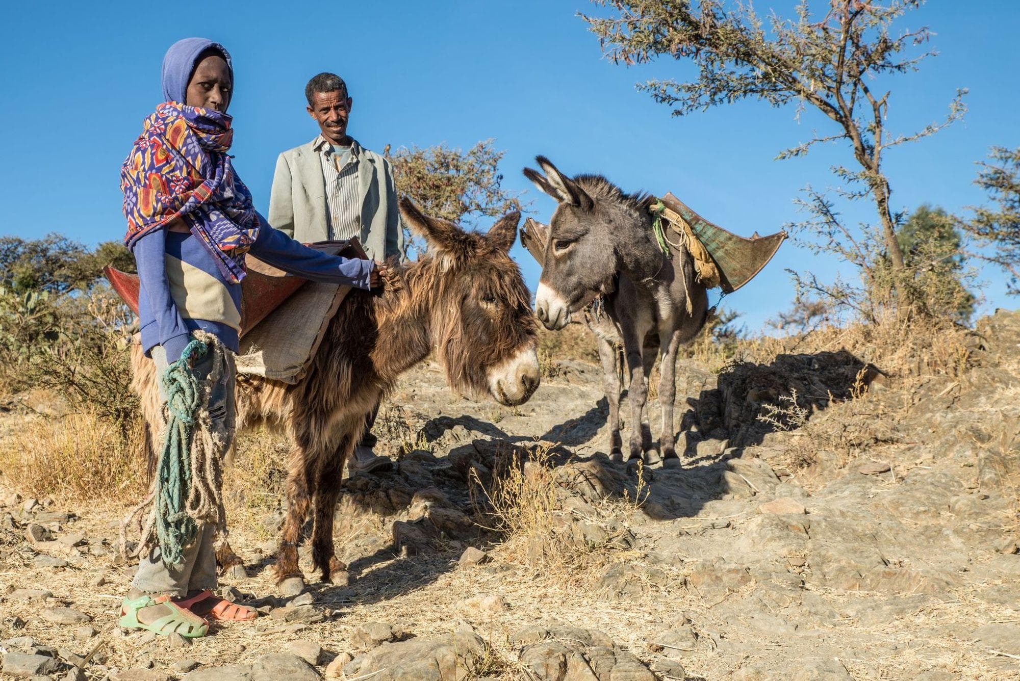 Hike the Rural Ethiopia & Danakil Depression