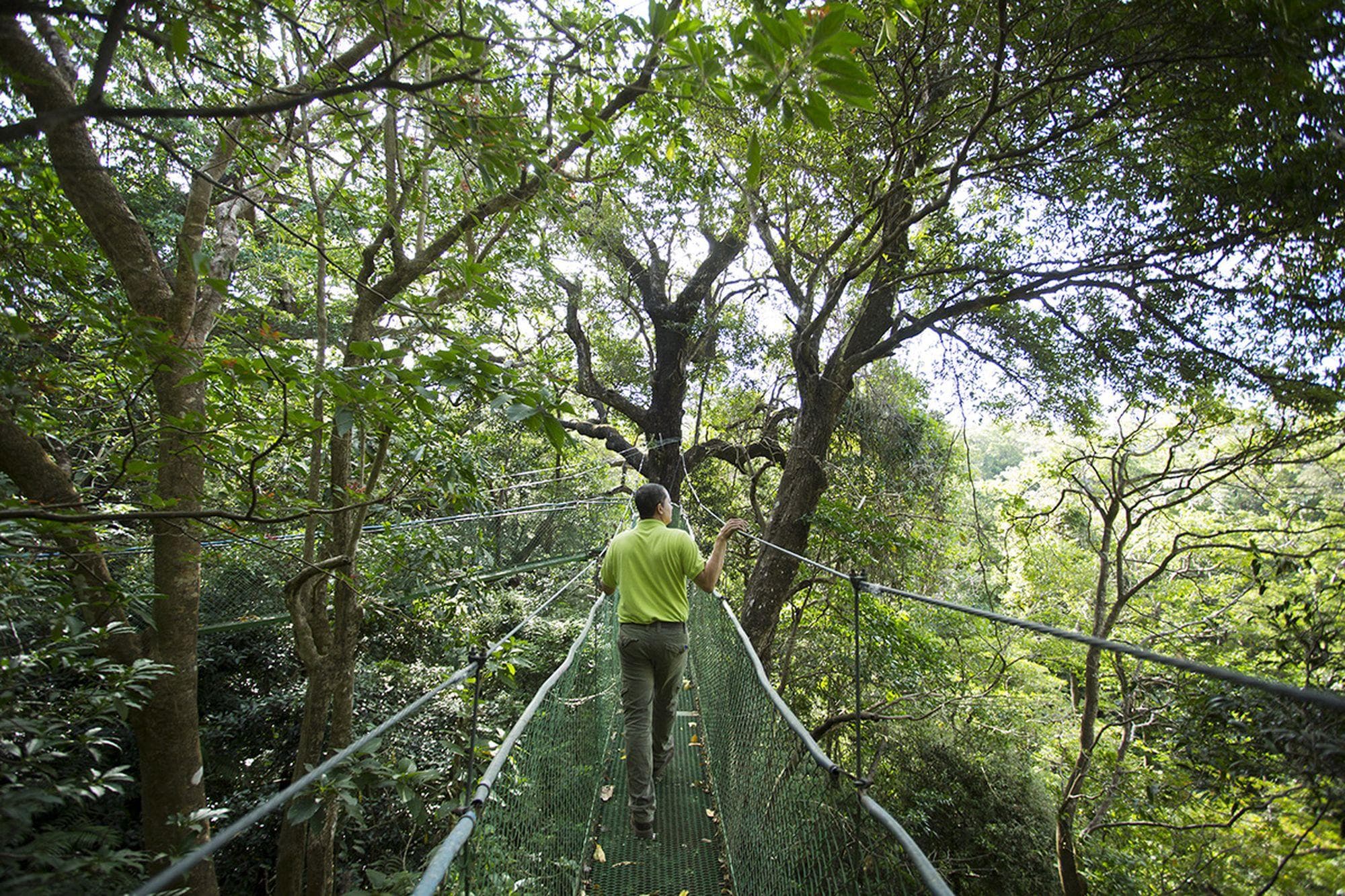 Raft, Hike & Explore Costa Rica