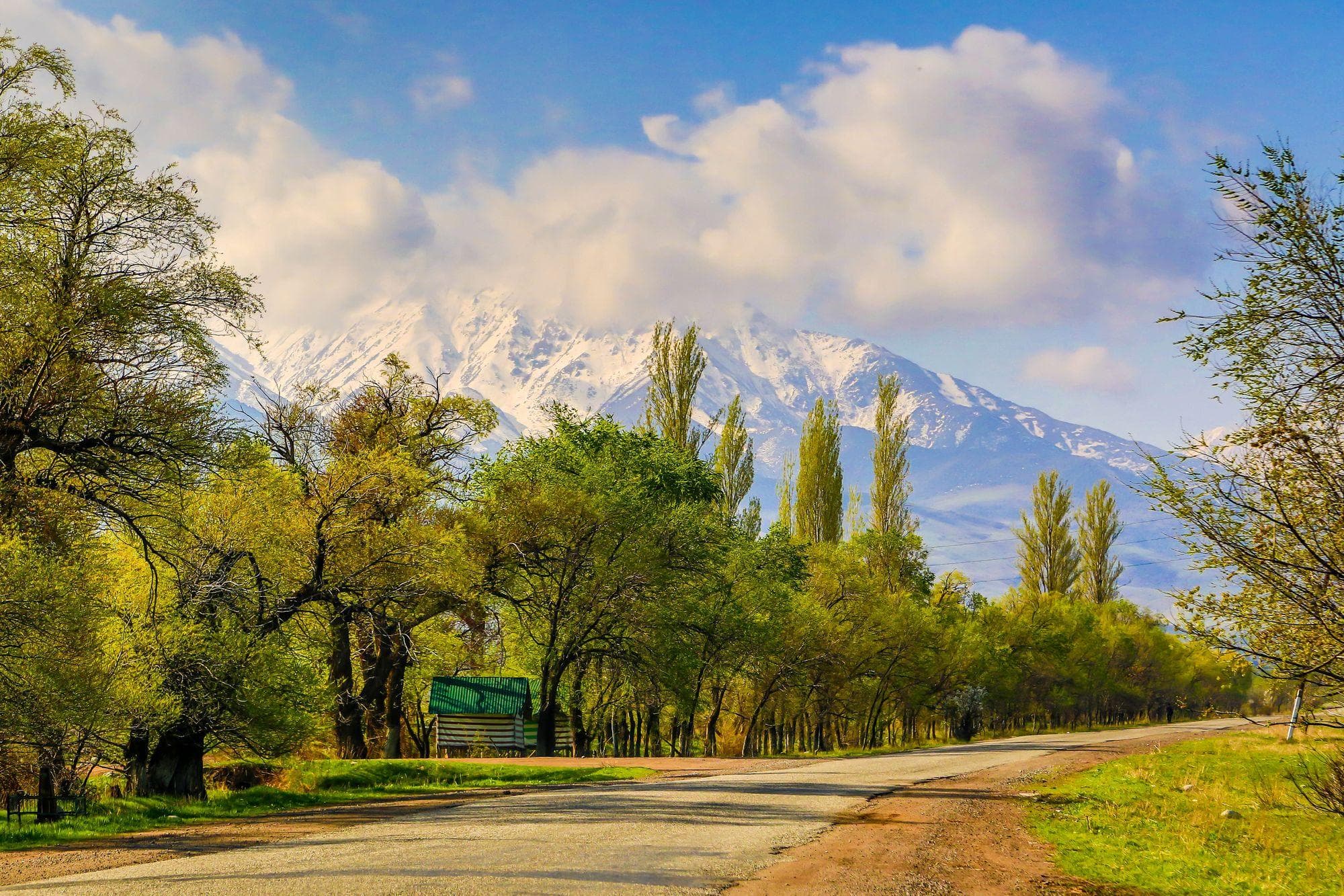 Day Walk in Ala-Archa National Park and Traditional Lunch