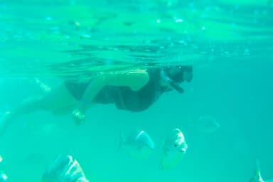 trip-img