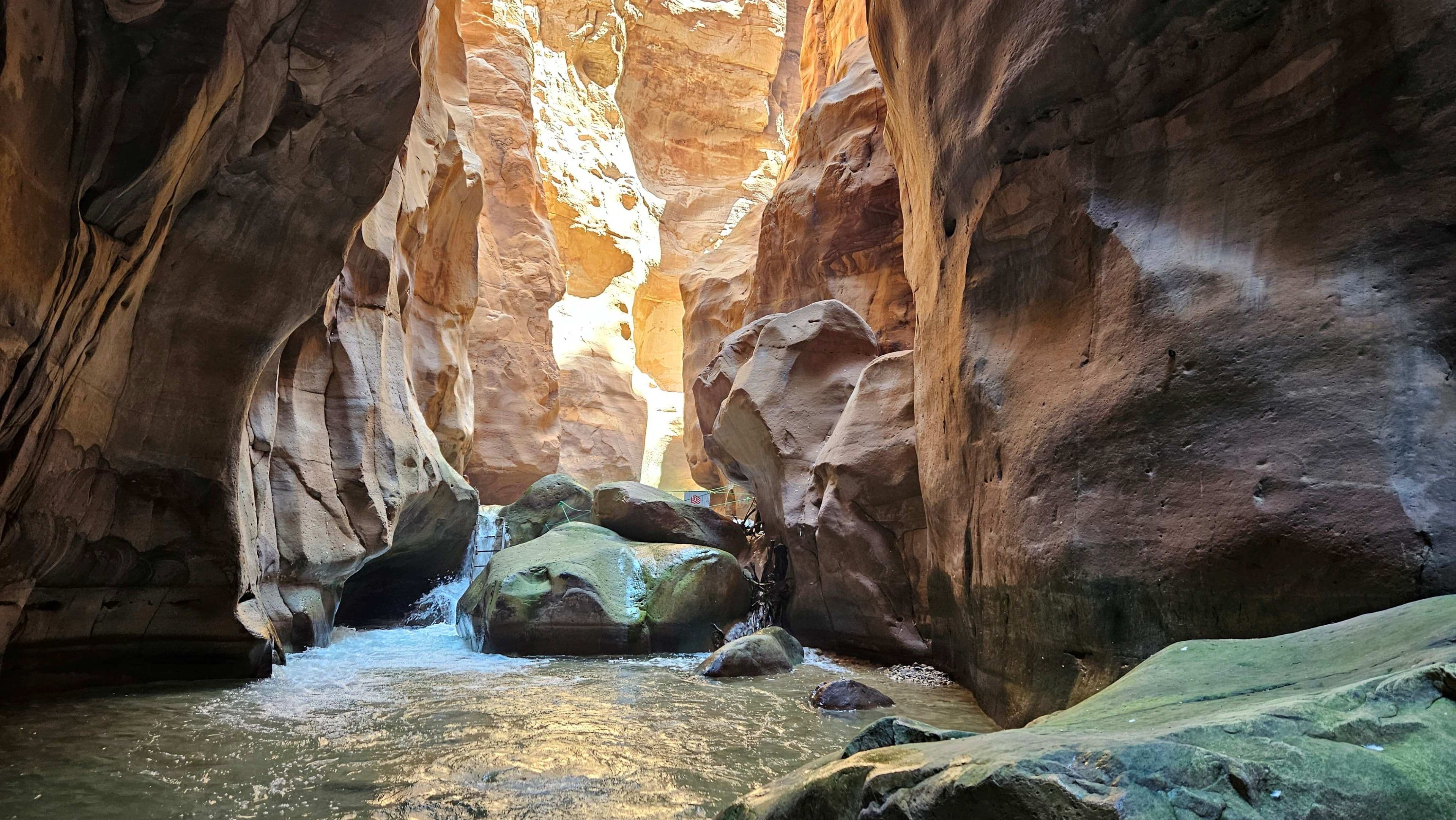 Summer Adventure in Jordan