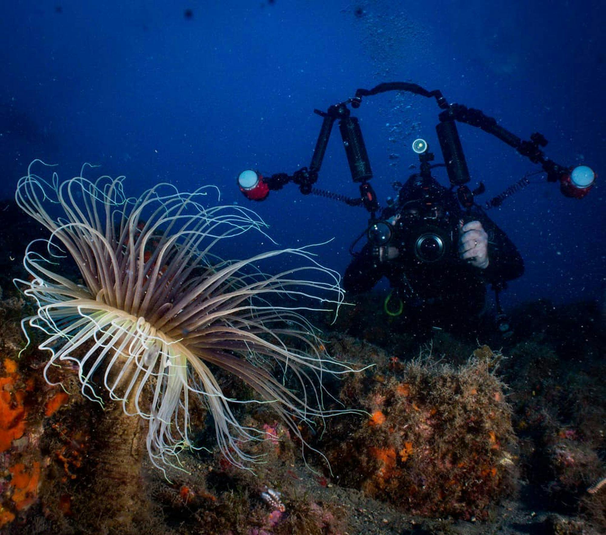 Scuba Diving in Cyclops Islands Marine Protected Area, Catania