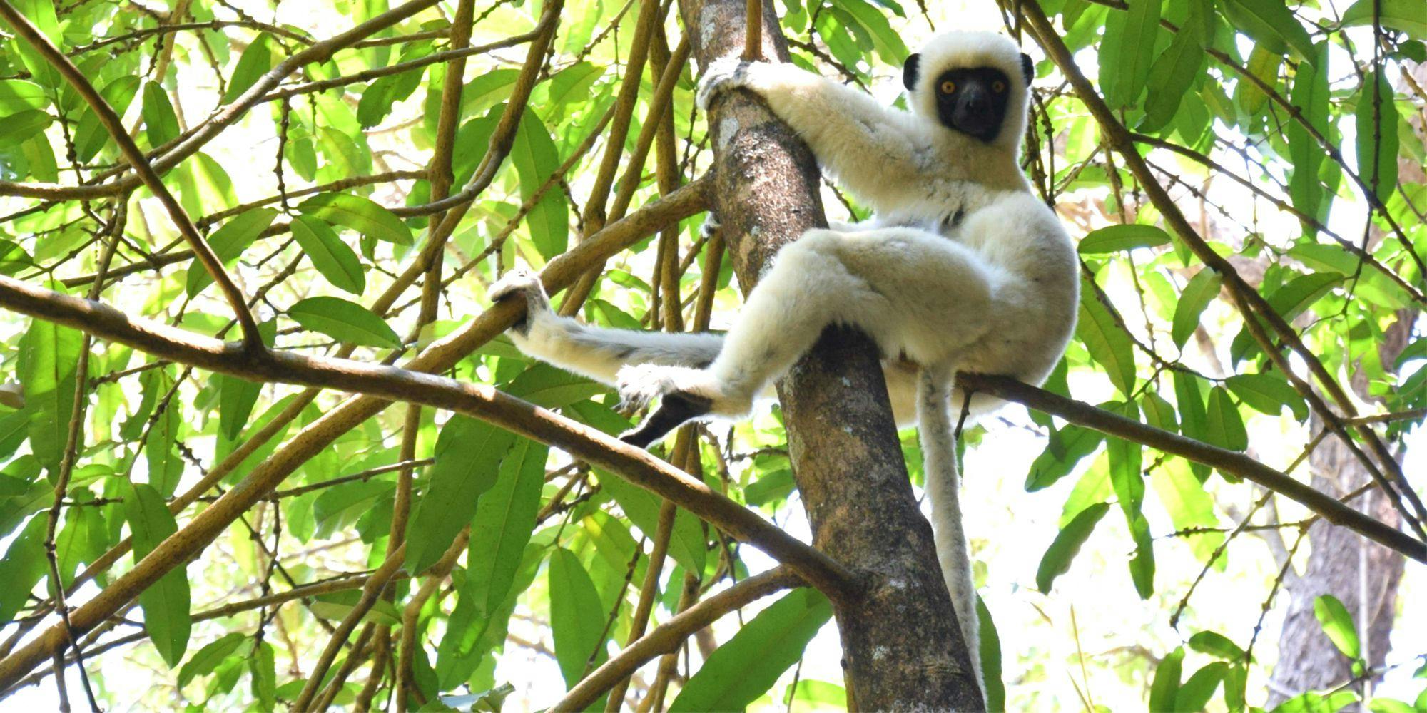 Adventure Safari in Madagascar