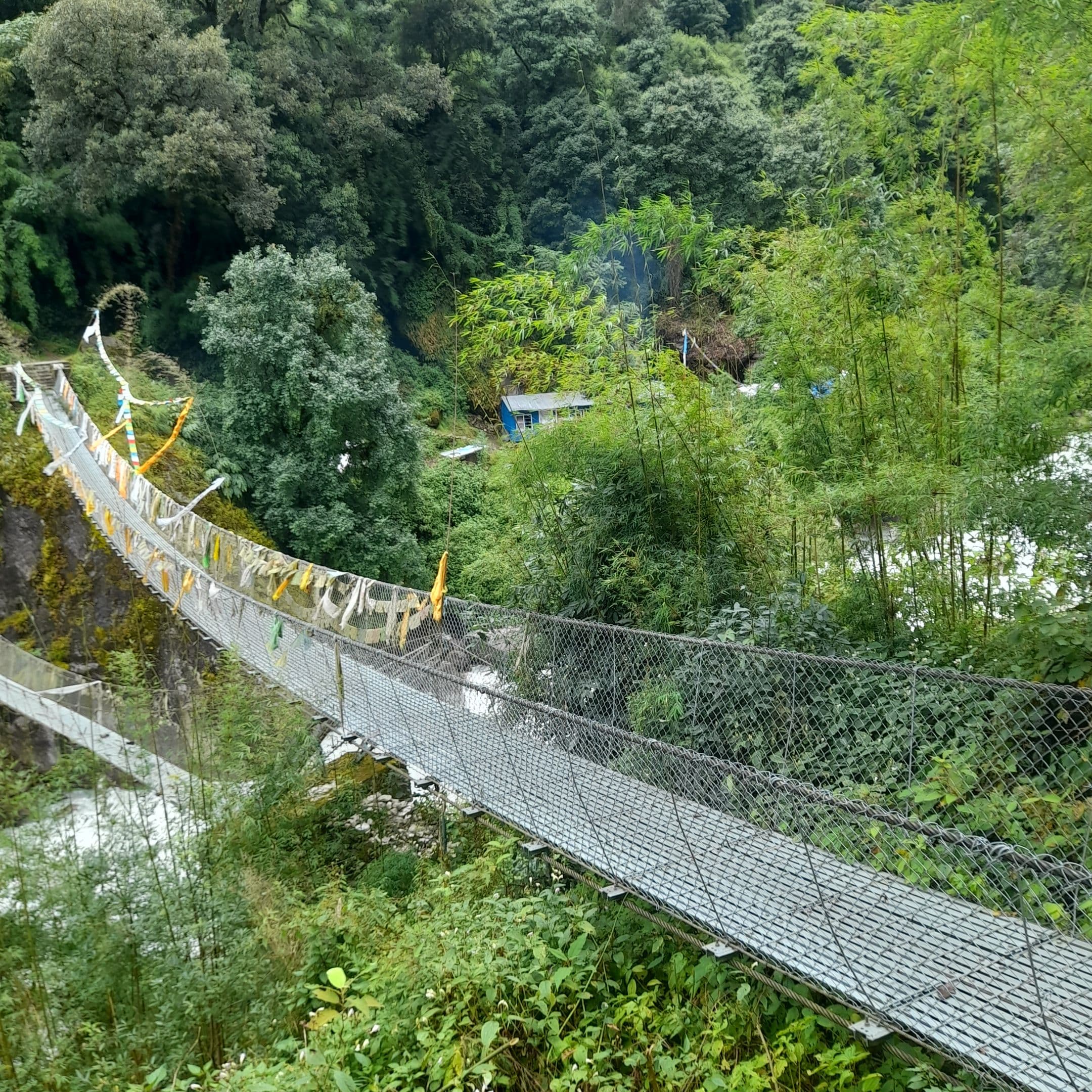 Langtang Valley Trekking In Nepal