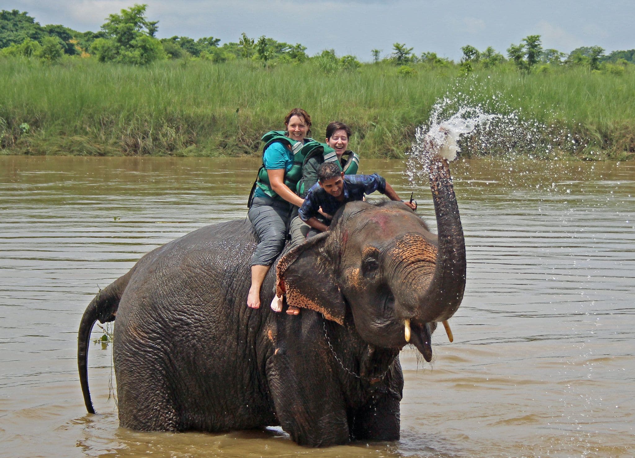 Jungle Safari in Nepal / Chitwan Jungle Safari 3 Night 4 Days