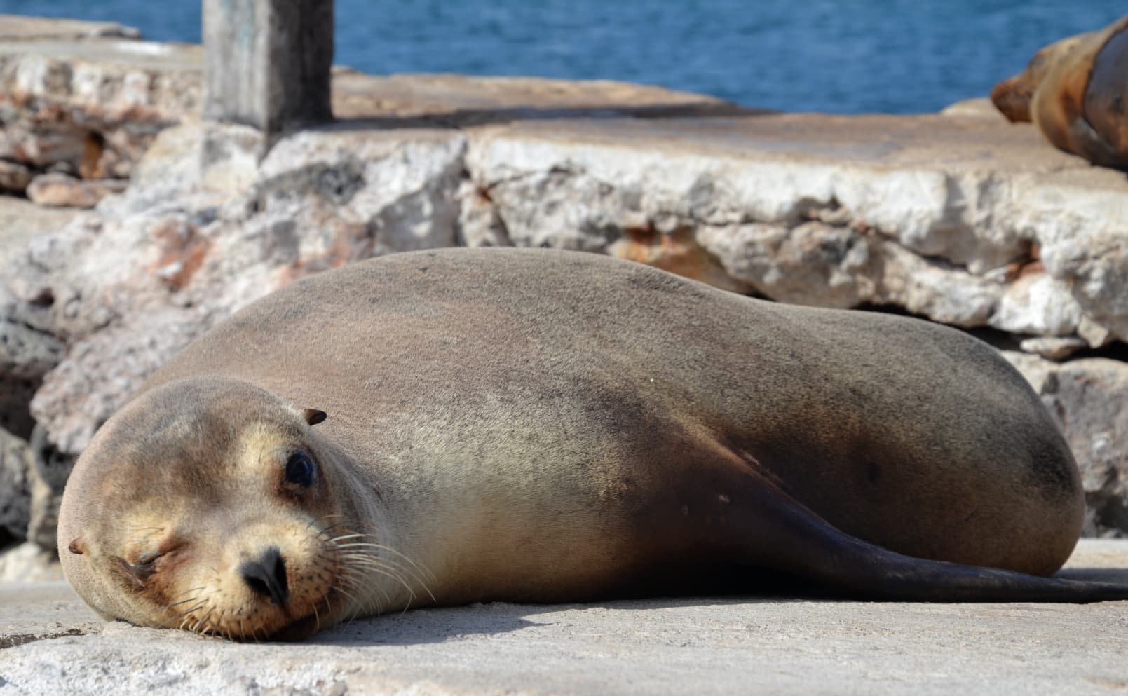 5-Day Galapagos Adventure