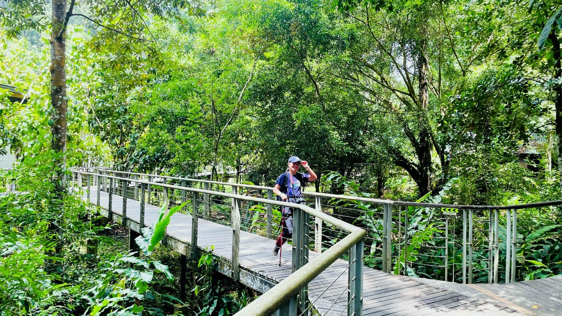 Jungle Trekking in Borneo’s Rainforest