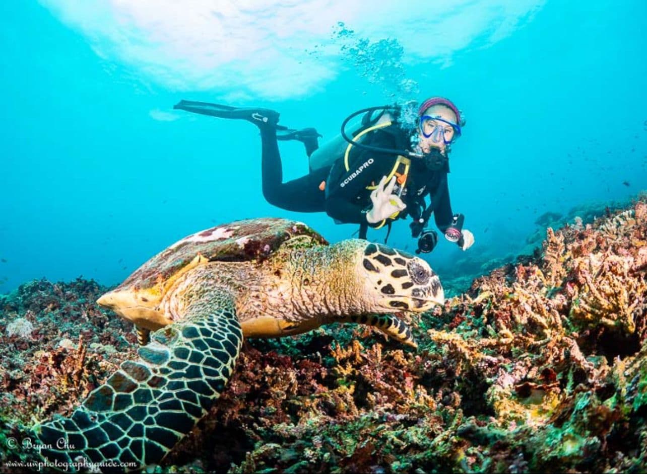 Discovery Scuba Diving in Nusa Penida for Non-Divers