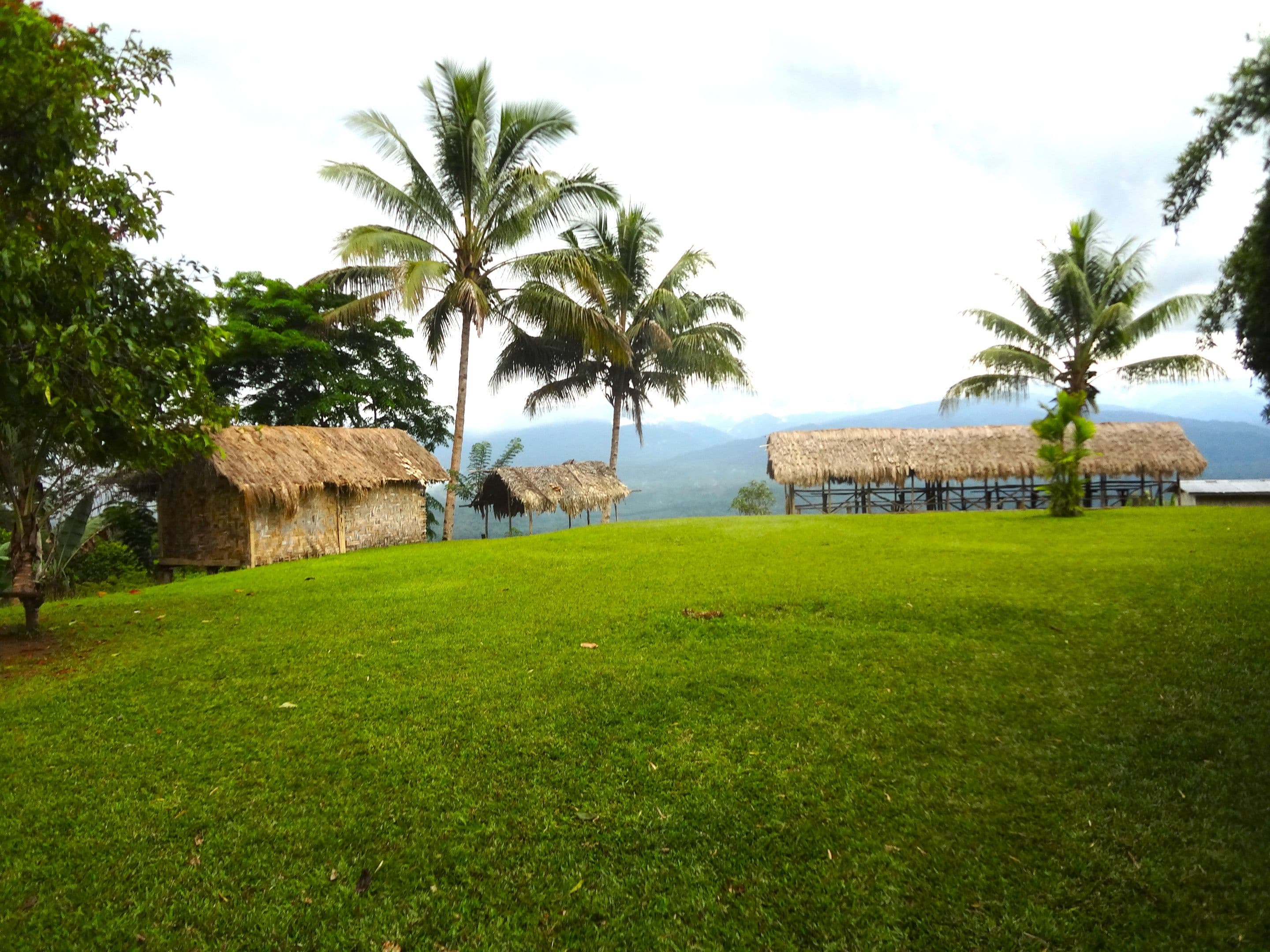 Classic 11-Day Kokoda Track Trek