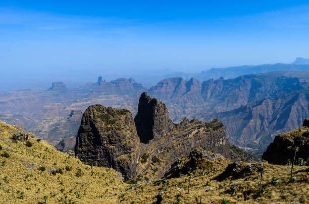 12-Day Ultimate Ethiopian Wildlife Adventure
