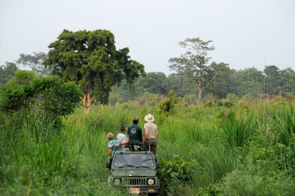 Chitwan National Park Safari & Jungle Adventure | 3-Day Package from Kathmandu