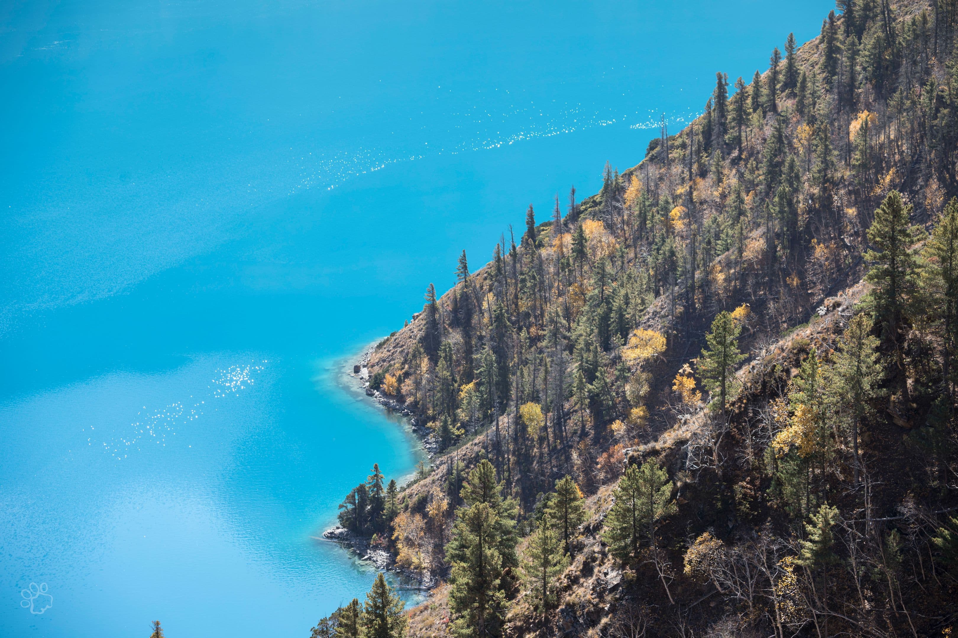 Shey Phoksundo Lake Trek