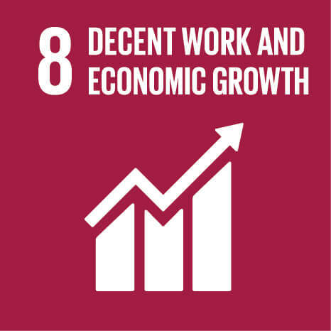 United Nations Sustainable Development Goal 8: Decent Work and Economic Growth